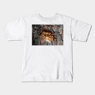 Pine Tree Sap Kids T-Shirt